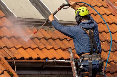 Démoussage et hydrofuge de toiture à Gruyères